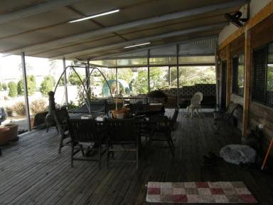 Farm For Sale - QLD - Moffatdale - 4605 - CONTAIN YOURSELF  (Image 2)
