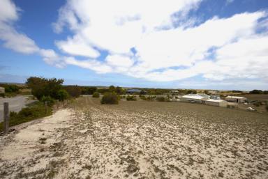 Farm For Sale - SA - Marion Bay - 5575 - Immediate Settlement * Rural Residential Stage 1 Land Ready to build on * Blocks selling fast *  (Image 2)