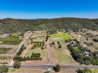 Farm Sold - QLD - Tanby - 4703 - If you could have THREE wishes....  (Image 2)