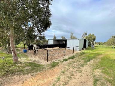 Farm Sold - WA - Coorow - 6515 - "Top Options at Topside"  (Image 2)