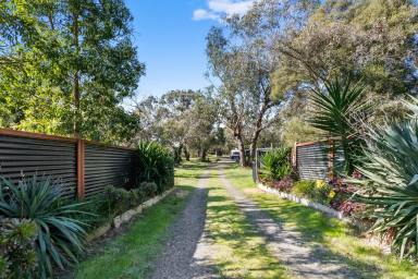 Farm Sold - VIC - Pearcedale - 3912 - Country Charm On 6 Acres With Bungalows  (Image 2)