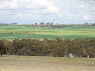 Farm Sold - SA - Stockport - 5410 - 5.4 Hectares - Panoramic Outlook  (Image 2)