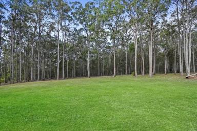 Farm Sold - QLD - Warner - 4500 - Owners Bought Elsewhere - Will Consider Offers!  (Image 2)