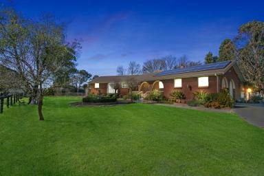 Farm Sold - VIC - Pearcedale - 3912 - Large Family Living With Room For Horses  (Image 2)