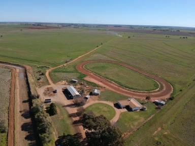 Farm For Sale - NSW - Coleambally - 2707 - Attainable Mixed Farming or Value-Add Opportunity  (Image 2)