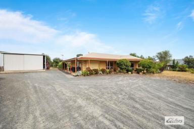 Farm Sold - VIC - Stawell - 3380 - ﻿﻿Incredible Lifestyle & Entertainers Home  (Image 2)