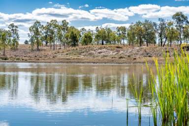 Farm Sold - QLD - Roma - 4455 - Quality Cattle Fattening Country  (Image 2)