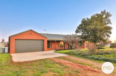 Farm Sold - VIC - Merbein West - 3505 - Opportunities Galore  (Image 2)