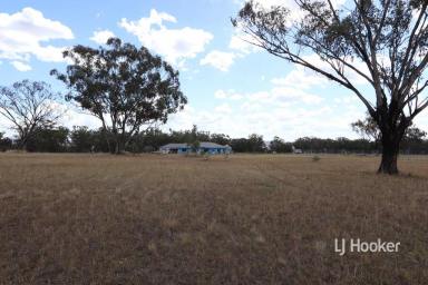 Farm For Sale - NSW - Inverell - 2360 - Acreage Allotment in 'Runnymede Heights Estate'  (Image 2)