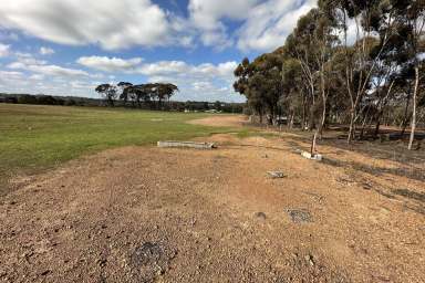 Farm Sold - WA - Woodanilling - 6316 - Great Property, Great Location  (Image 2)