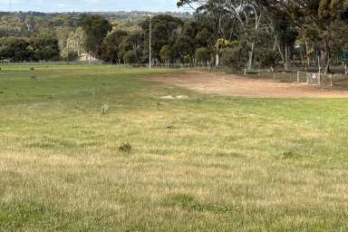 Farm Sold - WA - Woodanilling - 6316 - Great Property, Great Location  (Image 2)