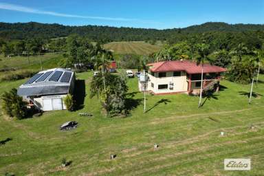 Farm Sold - QLD - Bombeeta - 4871 - 15.5 Acres of Paradise with dual occupancy potential and a 54 MEG water licence.  (Image 2)