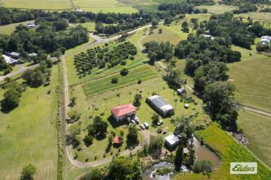 Farm Sold - QLD - Bombeeta - 4871 - 15.5 Acres of Paradise with dual occupancy potential and a 54 MEG water licence.  (Image 2)