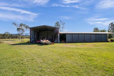 Farm Sold - QLD - Pinnacle - 4741 - 3 BEDROOM HIGHSET ON 10 ACRES  - UNDER CONTRACT  (Image 2)