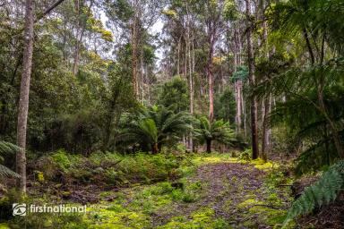 Farm For Sale - TAS - Kettering - 7155 - Secluded Forest  (Image 2)