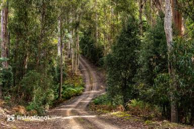 Farm For Sale - TAS - Kettering - 7155 - Secluded Forest  (Image 2)