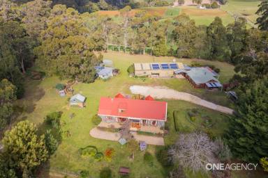 Farm For Sale - TAS - Stowport - 7321 - Natural Tree Haven Of 40 Acres, 3 Dwellings + Shed!  (Image 2)