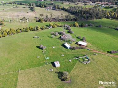 Farm For Sale - TAS - Beaconsfield - 7270 - Country Retreat on Acreage  (Image 2)