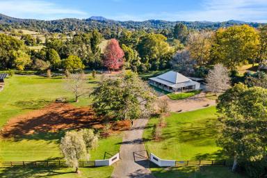 Farm For Sale - NSW - Bellingen - 2454 - Bellingen Lifestyle Property - Bellingen Riverside Cottages  (Image 2)