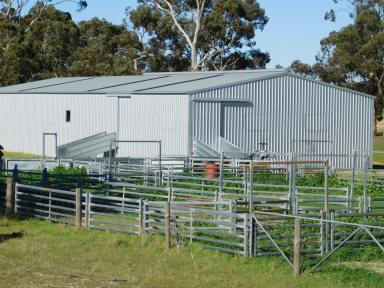 Farm For Sale - SA - Bangham - 5268 - Great Mixed Farming Opportunity  (Image 2)