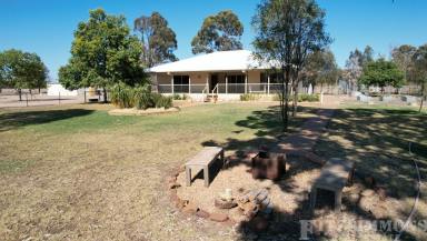 Farm Sold - QLD - Dalby - 4405 - PERFECT HOBBY FARM WITH ALL THE MOD CONS  (Image 2)
