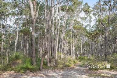 Farm For Sale - WA - Rosa Glen - 6285 - Pristine Bushland  (Image 2)