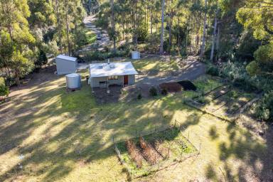 Farm Sold - TAS - Eaglehawk Neck - 7179 - Low maintenance "home sweet home" hidden within the coastal forest of Eaglehawk Neck  (Image 2)