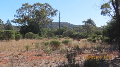 Farm Sold - NSW - Cobar - 2835 - Wilga Wood  (Image 2)