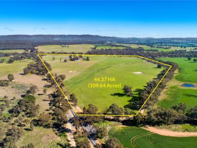Farm Sold - VIC - Homebush - 3465 - 44.37HA (109.64 Acres) Highly Improved Versatile Income Potential  (Image 2)