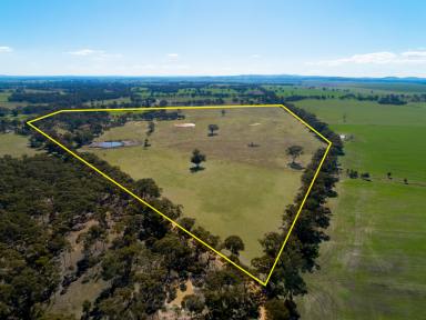 Farm Sold - VIC - Homebush - 3465 - 65.6HA (162.10 Acres) Substantial Opportunity With Vast Potential  (Image 2)