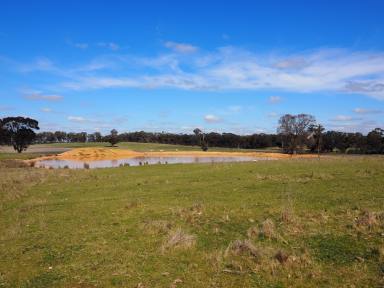 Farm Sold - VIC - Homebush - 3465 - 65.6HA (162.10 Acres) Substantial Opportunity With Vast Potential  (Image 2)