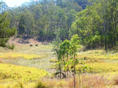 Farm For Sale - NSW - Rocky River - 2372 - POT OF GOLD  (Image 2)