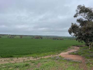 Farm Sold - WA - Moora - 6510 - "Unique Rural Development opportunity"  (Image 2)