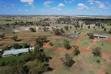Farm For Sale - QLD - St George - 4487 - Experience quality backgrounding and fattening country - WIWO  (Image 2)
