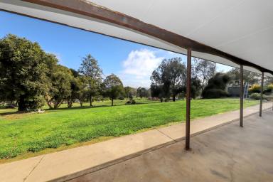 Farm For Sale - NSW - Tumut - 2720 - Edge of Town!  (Image 2)