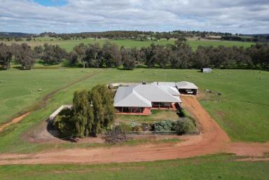 Farm Sold - WA - Jelcobine - 6306 - "The Caves"          West Brookton                                   379.2ha (936.62acres)  (Image 2)