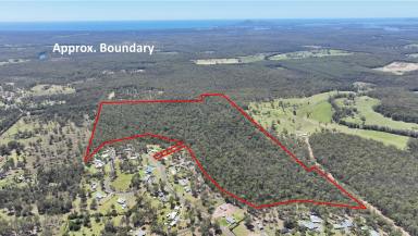 Farm For Sale - NSW - Minimbah - 2312 - Discover Your Wilderness Oasis - 175 Acres of Untapped Potential!  (Image 2)