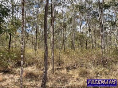 Farm Sold - QLD - Nanango - 4615 - 5 ACRES - MINUTES FROM TOWN  (Image 2)