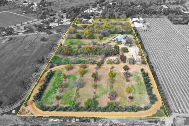 Farm Sold - VIC - Nichols Point - 3501 - A MOST PRIVATE & PEACEFUL SETTING  (Image 2)