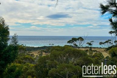 Farm Sold - TAS - Bicheno - 7215 - Another Property SOLD SMART By The Team At Peter Lees Real Estate  (Image 2)