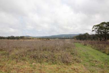 Farm Sold - QLD - Glen Aplin - 4381 - PROJECT COMPLETION NEEDED  (Image 2)