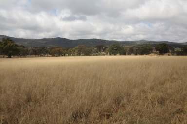 Farm Sold - QLD - Glen Aplin - 4381 - PROJECT COMPLETION NEEDED  (Image 2)