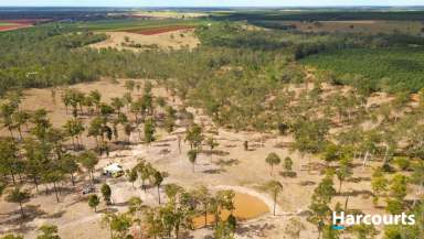 Farm Sold - QLD - Isis Central - 4660 - 47 ACRES OF LIFESTYLE!!  (Image 2)