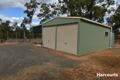 Farm Sold - QLD - Isis Central - 4660 - 47 ACRES OF LIFESTYLE!!  (Image 2)