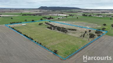 Farm For Sale - VIC - Tooan - 3409 - 11.59ha/ 28.6 acres with 30 Meg Water Licence  (Image 2)
