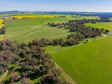 Farm For Sale - NSW - Stockinbingal - 2725 - Prime Mixed Farming and Grazing Asset with Approved Building Entitlement  (Image 2)