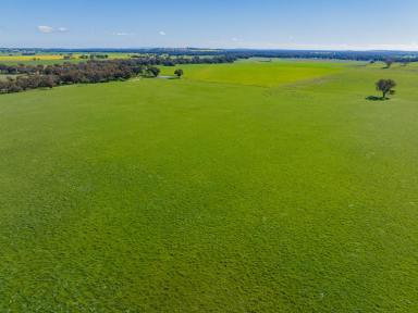 Farm For Sale - NSW - Stockinbingal - 2725 - Prime Mixed Farming and Grazing Asset with Approved Building Entitlement  (Image 2)