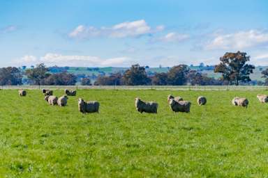 Farm For Sale - NSW - Stockinbingal - 2725 - Prime Mixed Farming and Grazing Asset with Approved Building Entitlement  (Image 2)