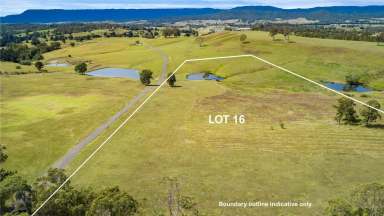 Farm Sold - QLD - Beaudesert - 4285 - Birnam Range Estate - Lot 16 - 8.02ha / 19.8 acres  (Image 2)