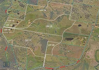 Farm Sold - QLD - Beaudesert - 4285 - Birnam Range Estate - Lot 16 - 8.02ha / 19.8 acres  (Image 2)